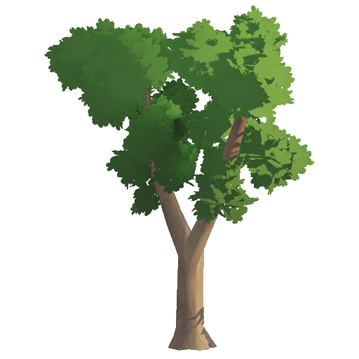 Tree Seed Image