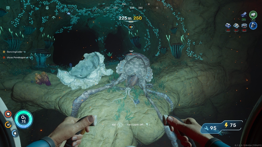 Dead Coral Crab in the Graveyard